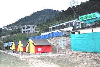 Scarlet Birding Camp, Pangot 2